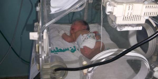 Gaza: Graveyard for Premature Babies