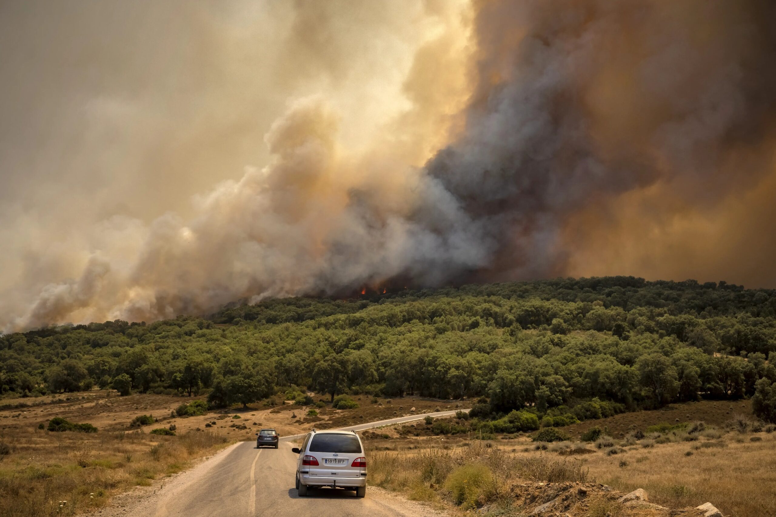 Construction Projects Fuel Forest Fires In Morocco