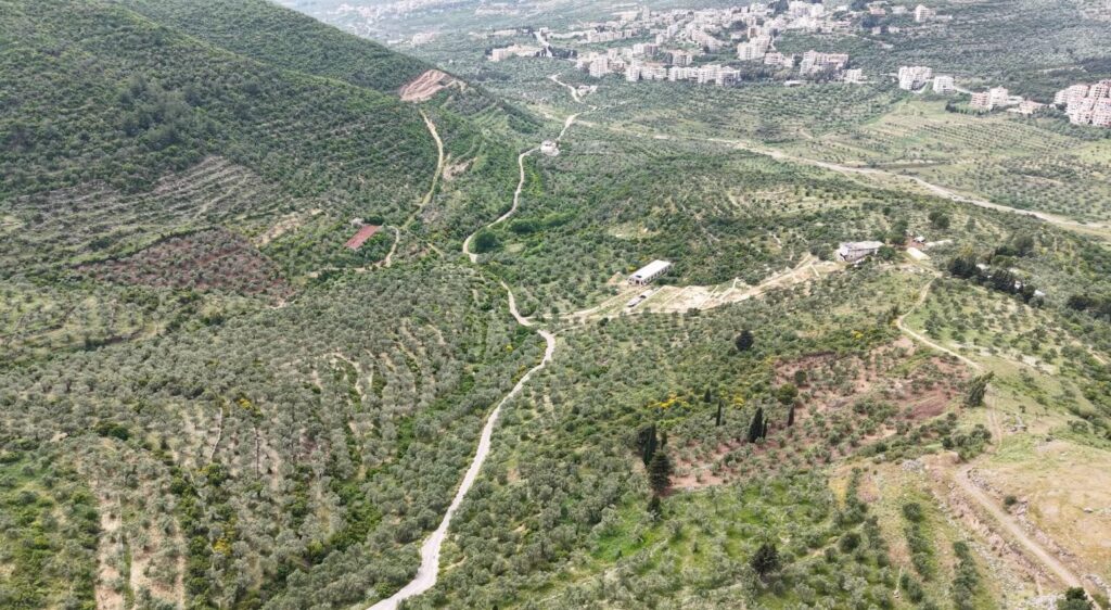 This report documents eyewitness accounts of the disappearance of 40 people, mostly women and children, who departed the town of Al-Husn in Syria in March 2014, following a two-year siege. They passed through a security checkpoint before being detained at a tourist facility. Our report reveals details of the siege, records the names of those who went missing, and uncovers what happened before their disappearance